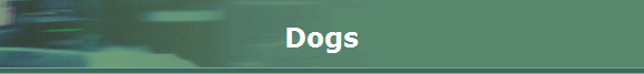 Dogs